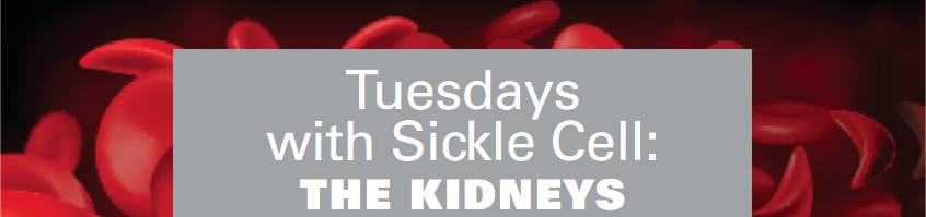 Tuesdays with Sickle Cell: The Kidneys Banner