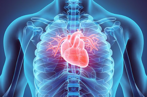Cardiac Anesthesiology Conference Banner